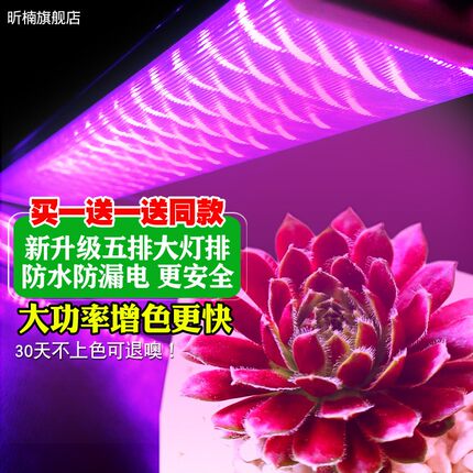 核管家全光谱多肉补光灯家用上色防徒长花卉育苗植物生长仿太阳光