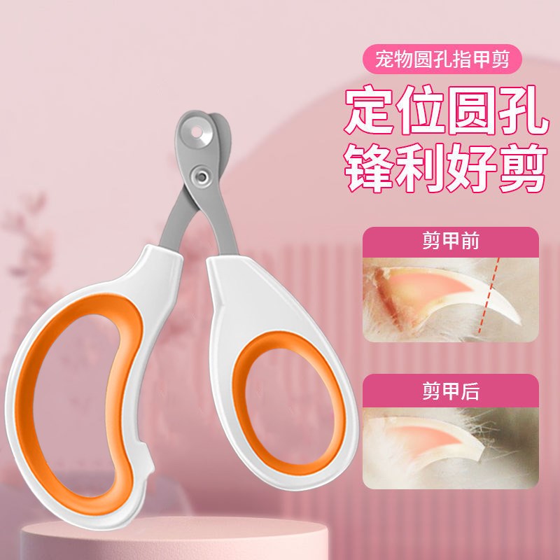 蜜袋鼯专用指甲剪套装指甲剪指甲刀修剪指甲钳磨甲器飞鼠小宠用品