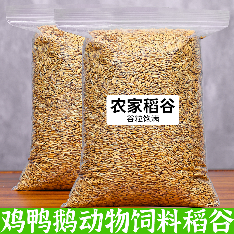 尝梦稻谷带壳稻谷鸡鸭鹅动物饲料