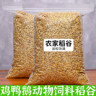 农家水稻谷子带壳大米新稻谷喂鸡鸭鹅仓鼠鸽鸟宠物饲料酿酒杂粮食