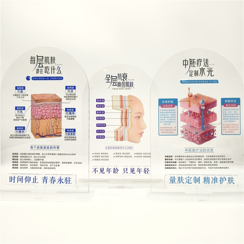 高颜值diy皮肤管理美容院摆件A皮肤屏障功能肌肤表皮结构代谢周期