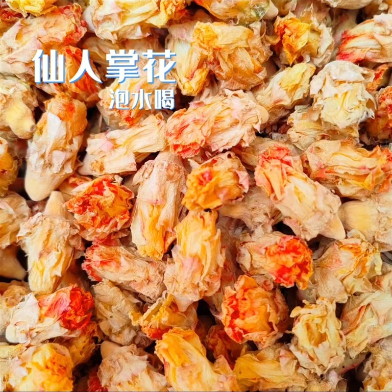 2023新货仙人掌果花仙人掌干花仙人掌养生I花茶25克50克100克包邮