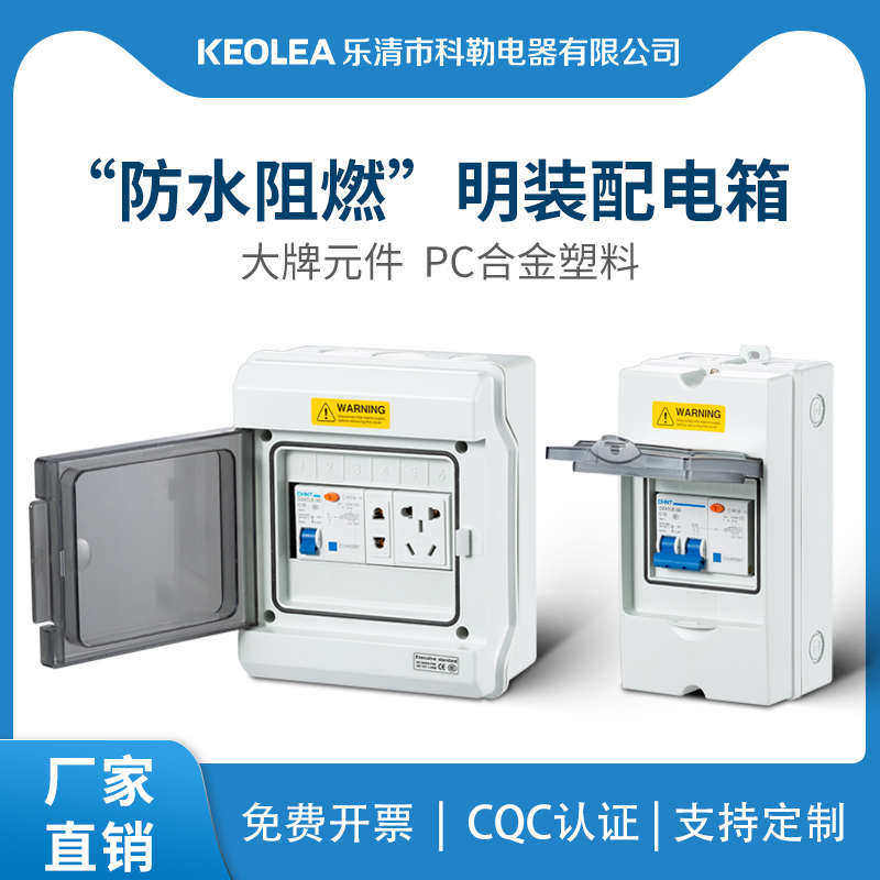 防水小配电箱室外开关盒漏保盖板配电箱明装家用 空开户外电箱盒