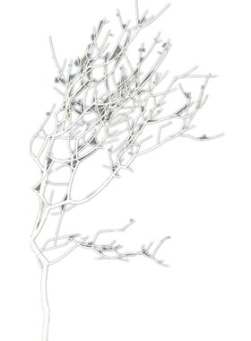 干树枝干枝干树枯树装饰t白色树摆件树杆仿真树枝假树枝道具装饰