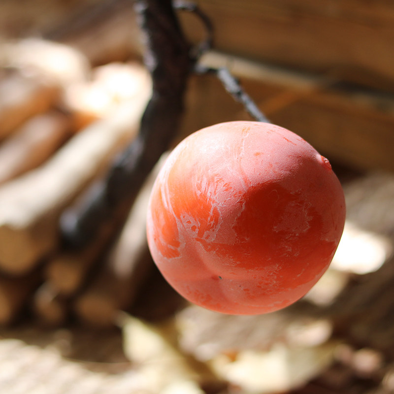 仿真藤条柿子果树枝果实缠绕植z物壁挂柿子盘藤造景道具装饰假树,家居饰品,仿真花/假花,淘宝优惠券,粉丝福利购,淘宝优惠卷