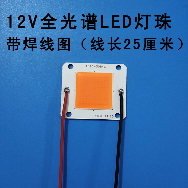 免驱动12vled灯珠超亮50w100w大功率led全光谱灯珠12v投光灯芯片
