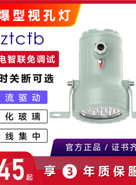 台创BAK51防爆视镜灯led视孔灯反应釜内视容器罐观察窗聚光射灯