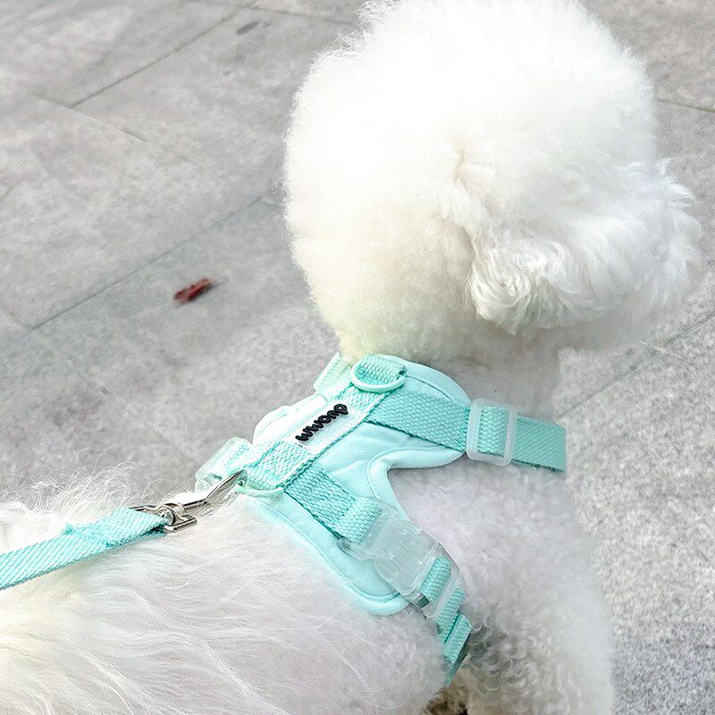 狗狗牵引绳中小型犬比熊泰迪博美可调节夜间反光小狗绳宠物胸背带
