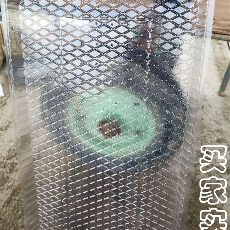 包邮 加厚塑料秧盘 水稻育苗盘7寸9寸机插秧软盘平盘抛秧盘原厂家