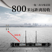 专业真U段一拖二无线话筒真分集防啸叫手持头戴会议演出KTV麦克风