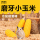 仓鼠零食磨牙玉米小迷你磨牙棒金丝熊花枝鼠营养粮食造景玩具用品