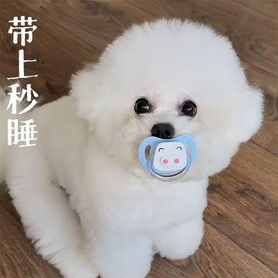 比熊犬狗狗安抚奶嘴小狗生活用品宠物磨牙玩具小泰迪小体幼犬