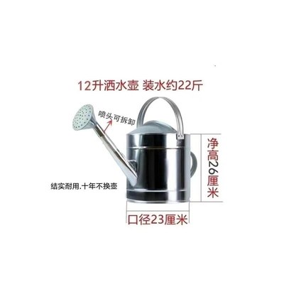 洒水壶浇菜家用不锈钢洒水壶白铁浇花壶I农用浇菜水壶汽车加水壶