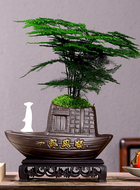 家居绿植盆栽摆件办公室桌面发财树植物小盆景文竹客厅微景观装饰