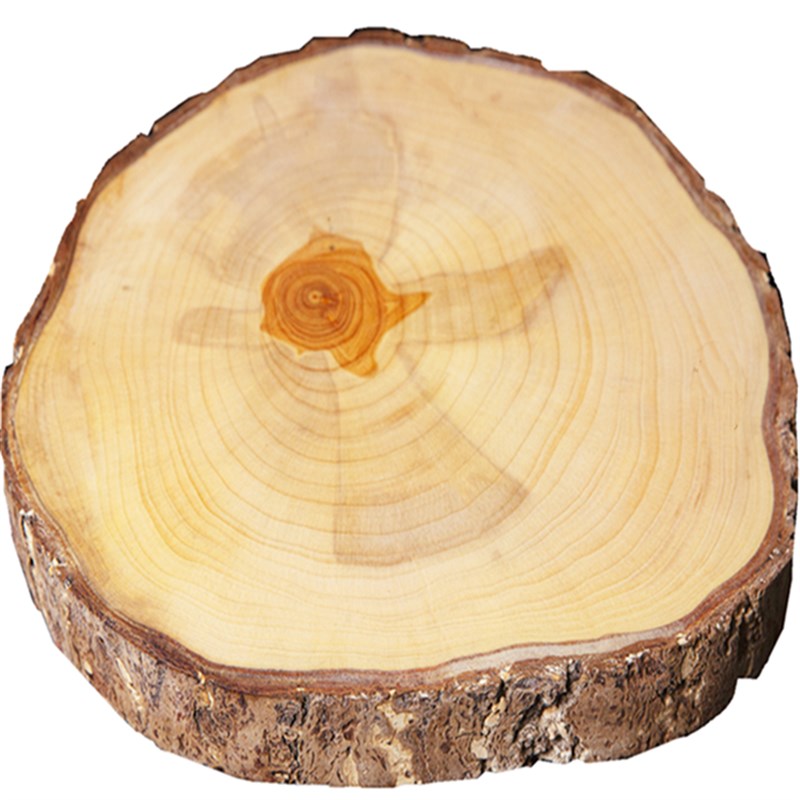 白菜帮已保养正宗银杏木菜板实木菜墩泰兴K白果树整木案板原木不