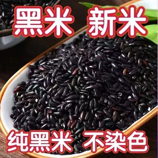 农科院东北有机黑米2025新米官方旗舰店正品优质五谷杂粮孕妇低脂