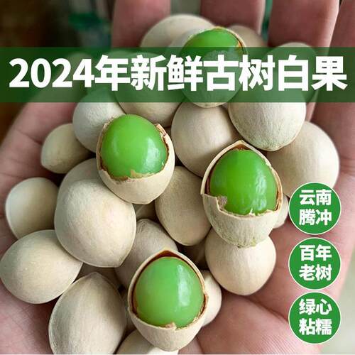 白果新鲜银杏果2024年新货云南腾冲银杏村古树老品种粘糯500g包邮