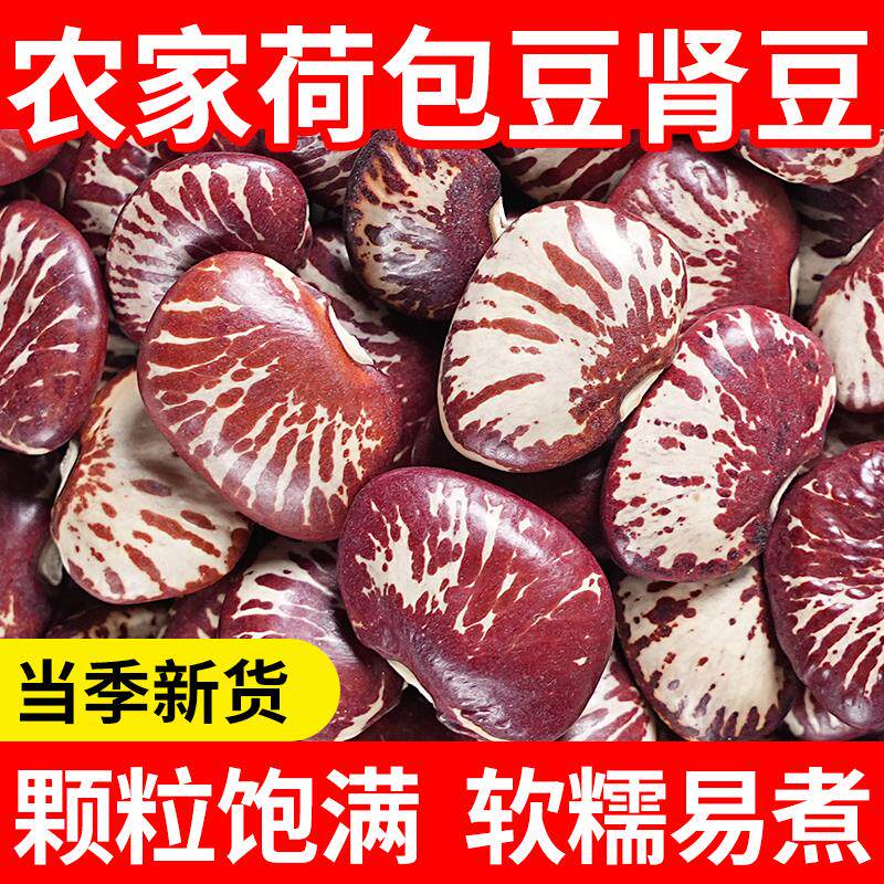 农家荷包豆新货5斤农家肾豆新鲜五谷杂粮豆类粗粮状元豆花芸豆