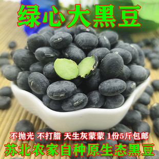 新货绿芯大黑豆5斤非转基因大黑豆乌皮青仁醋泡豆打豆浆250克包邮