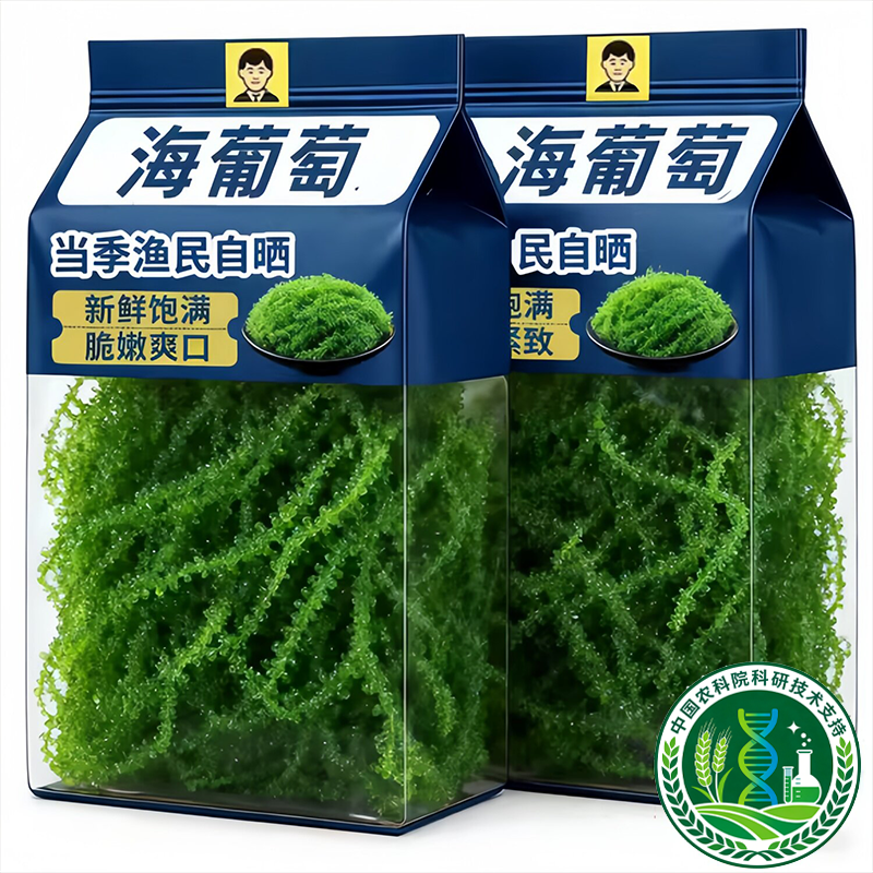 农科院儿童海葡萄即食官方旗舰店新鲜绿色小孩吃的健康零食水葡萄