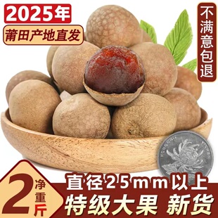 34A福建莆田龙眼大果特级桂圆干2斤带壳核小肉厚泡水中药袋装特产