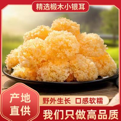 通江银耳干货野生椴木小朵