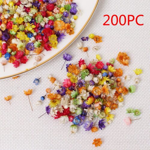 200pc Real Dried Flowers For DIY Art Craft Epoxy Resin