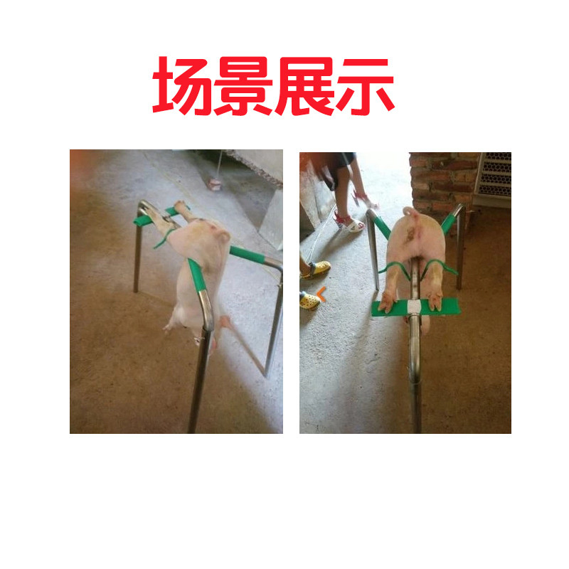 速发阉割架小猪 阉割器不锈钢仔猪用阉猪器阉割刀工具养猪设备 阉
