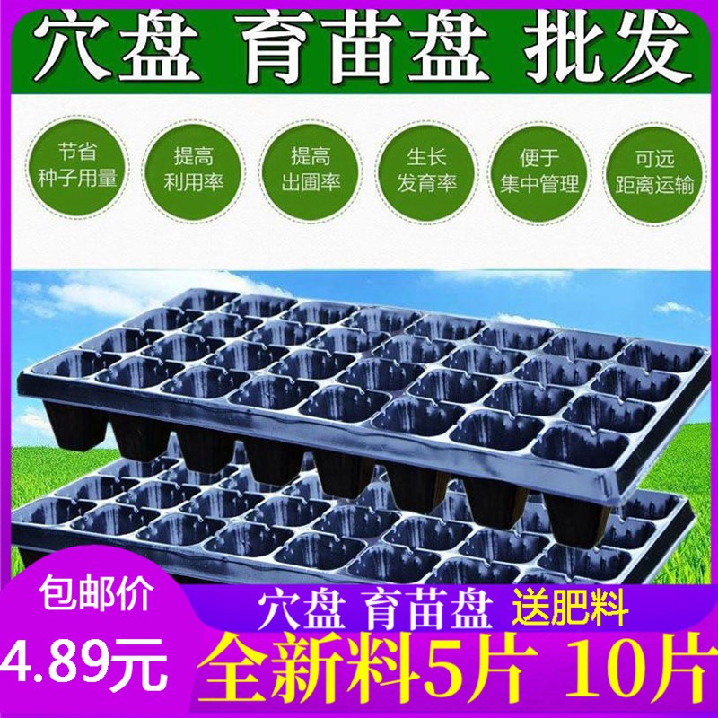 速发加厚多肉苗苗菜培育箱穴盘多肉种植育苗盒育芽盘塑料营养钵盆