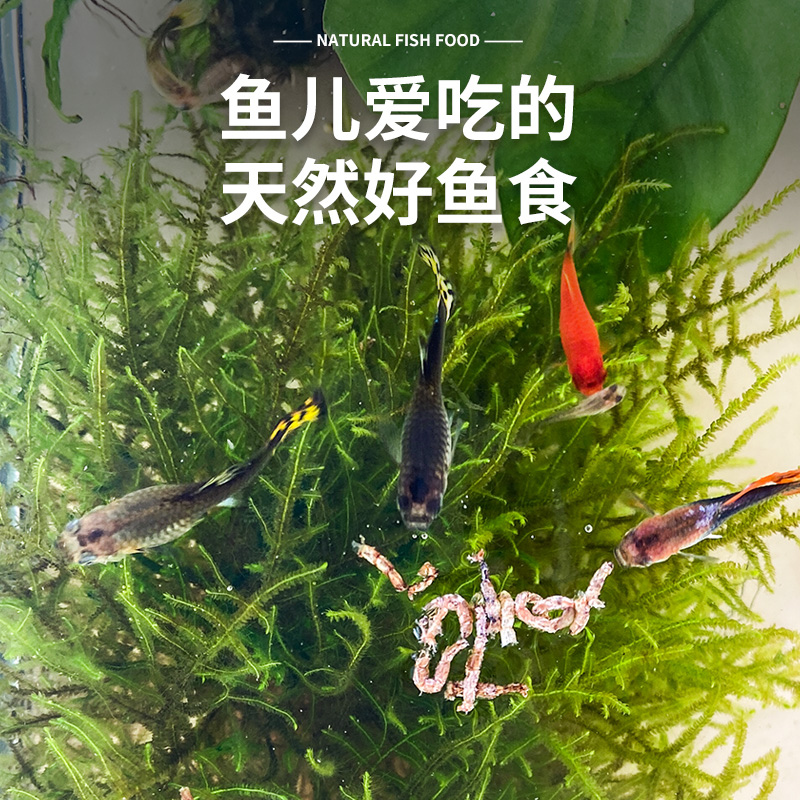 速发红虫孔雀鱼饲料热带小型鱼颗粒斗鱼观赏幼鱼苗粮红绿灯