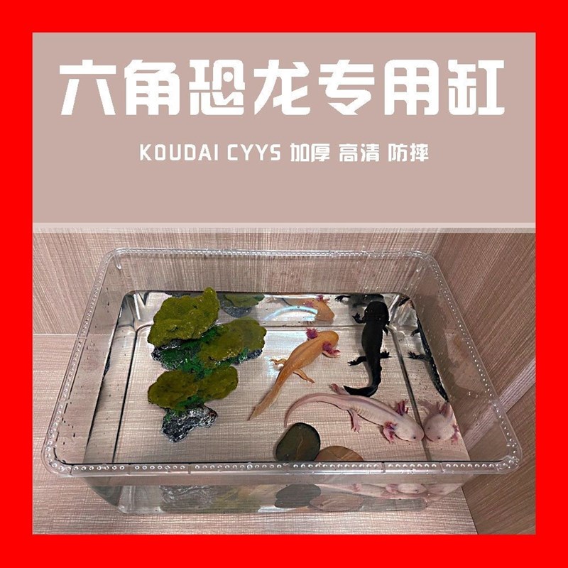 速发蝾螈饲养缸六角恐龙鱼躲避屋蝾螈鱼缸喂食器六角恐龙缸