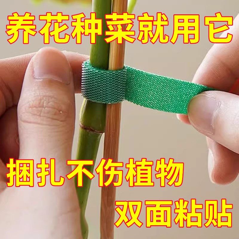 速发瓜果藤苗绑带不伤秧不伤藤贴植魔术绿扎线可粘植物绑带自随意