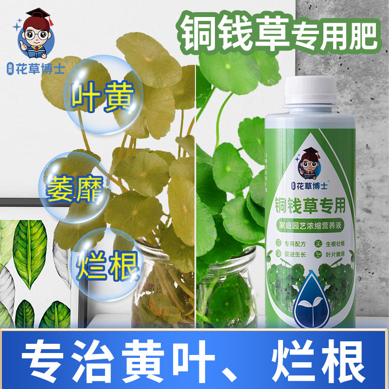速发花草营钱草营养液肥家用水栽通用土盆培植物铜养液