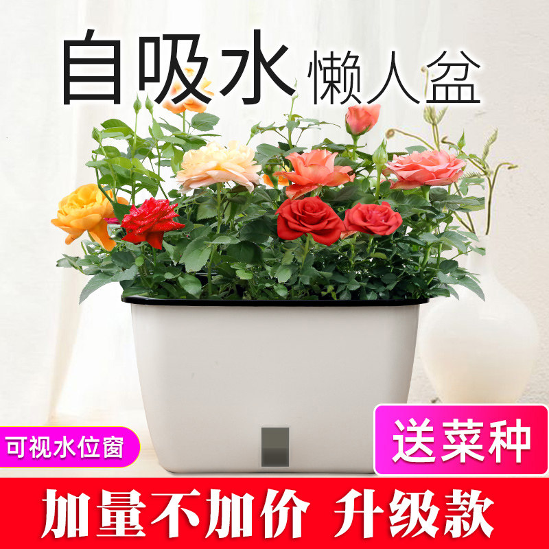 速发自动吸水懒人花盆栽家菜神器种庭台长方形槽条料长塑种植箱养