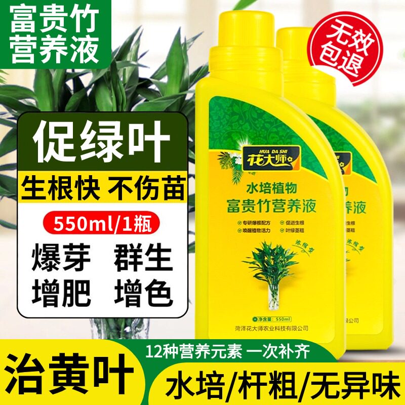 速发富用竹营养液肥料观音转运竹龙水培植物通专水养贵治黄叶生根