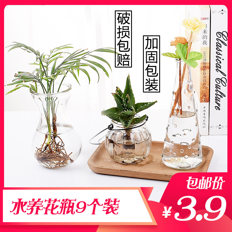 速发透明玻璃瓶水培花物容器绿萝干花小花瓶养植插花客厅摆件装饰