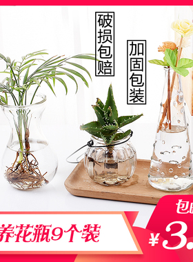 速发透明玻璃瓶水培花物容器绿萝干花小花瓶养植插花客厅摆件装饰