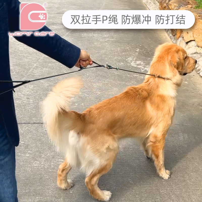 现货速发双拉把手链子p链金毛遛狗绳防爆冲P绳中大型犬用品
