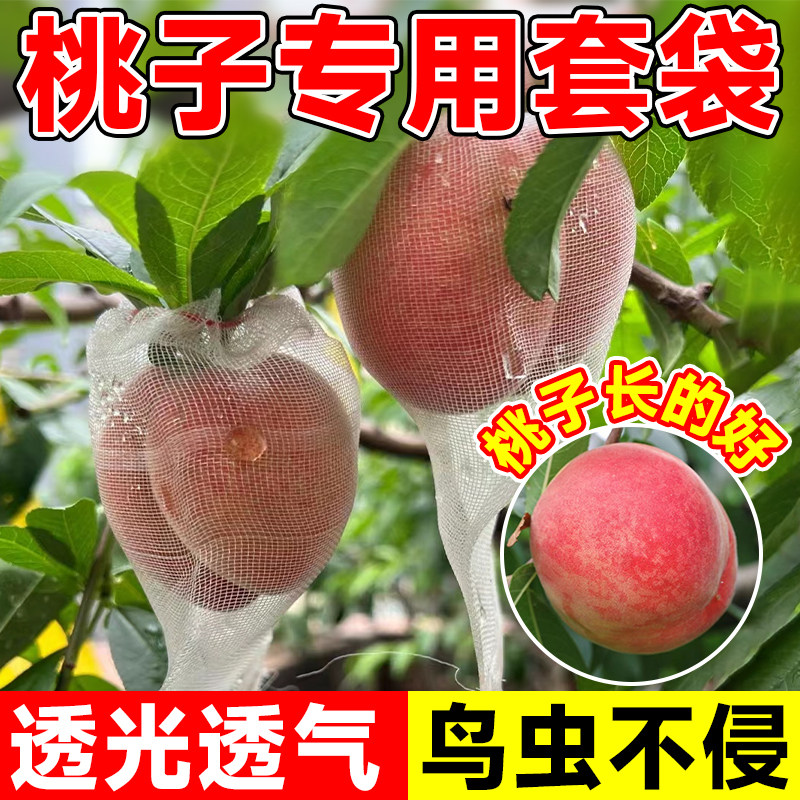 速发桃子树袋专用袋防虫防鸟果袋水蜜桃黄桃果套果子套袋神器透气