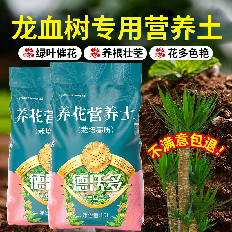 速发龙血树营栽土养花专用土龙须树花土壤种养土盆植花卉肥料有机