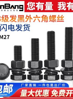 8.8级外六角螺丝螺母套装混装q大全5M6M8M10M12M14M16M18M20M22M2