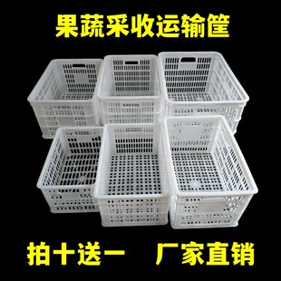 塑料筐长b方形果蔬采收筐运输周转框物流储物箩筐蔬菜水果收纳箱