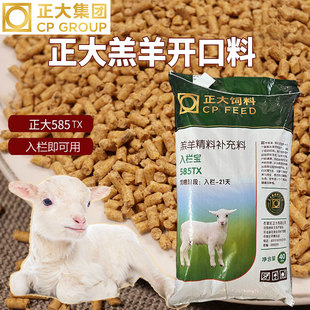 正大585TX入栏宝 羔羊开口料小羊羔专用饲料精料精补料80斤40kg