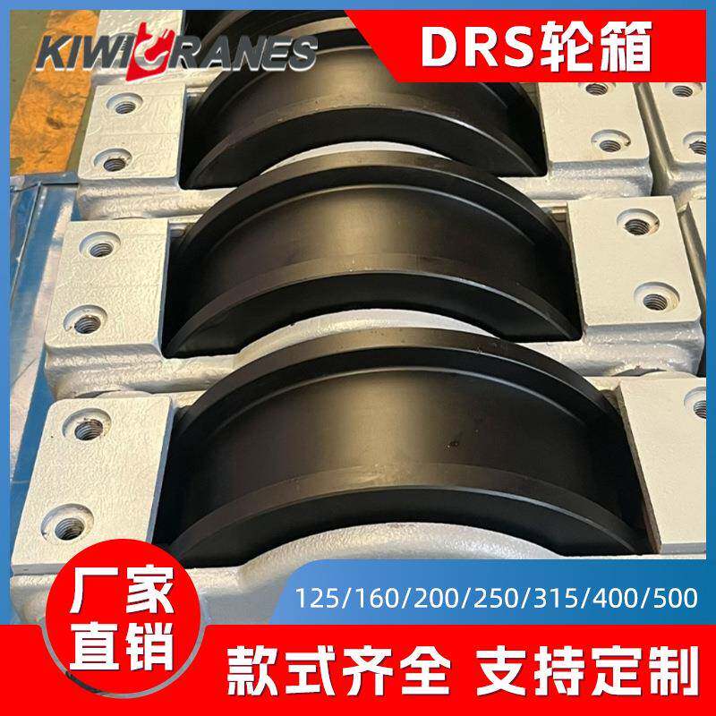 德马格款DRS车轮组200/250/15堆垛机DRS轮箱RGV小车轮起重机