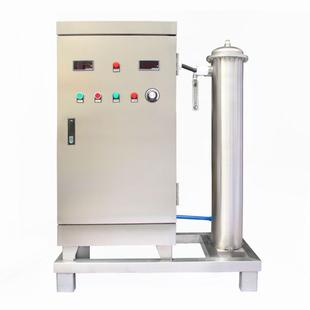 150g克臭氧发生器BS 9150氧气源饮用水质游泳池水处理臭氧机