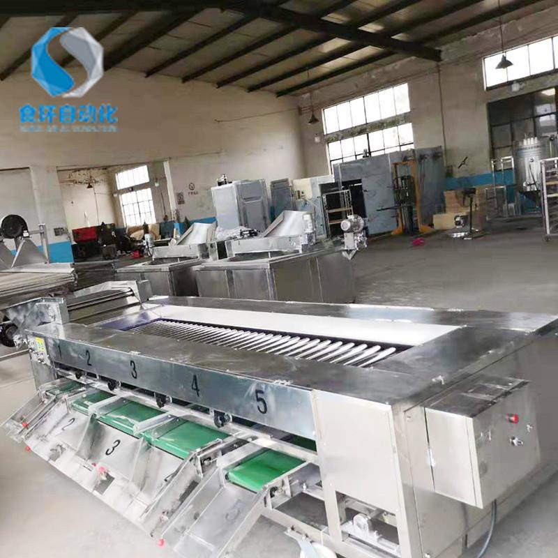 番茄分选机滚杠分级机土豆圆葱大枣分级机