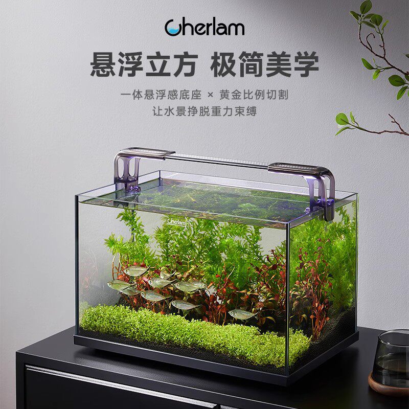 彻朗鱼缸底座桌面客厅生态斗金鱼乌龟缸造景小型水草养鱼玻璃裸缸