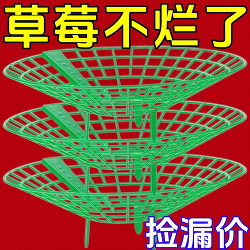草莓种植立体托盘防烂支架