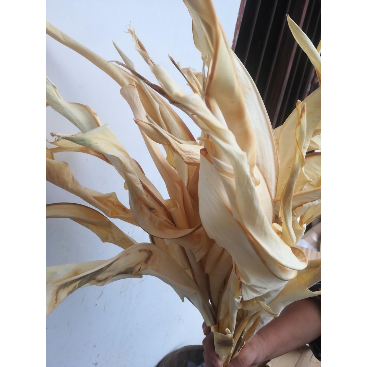 小鸟叶干花漂白婚礼花艺拍照道具空间美陈橱窗设计