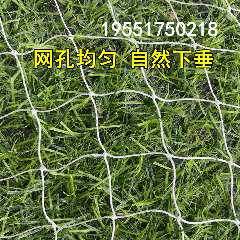 聚酯纤维复丝防鸟网果树樱桃葡萄梨树D蓝莓果园防鸟用网鱼塘天网